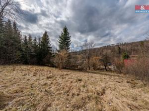 Prodej rodinného domu, Zubří, Pod Obecníkem, 100 m2