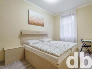 Pronájem bytu 2+kk, Karlovy Vary, Vítězná, 45 m2