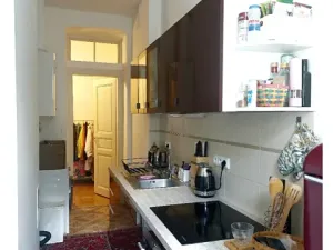 Pronájem bytu 2+kk, Praha - Bubeneč, U studánky, 57 m2
