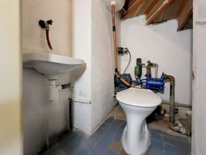 Prodej chaty, Kobeřice u Brna, U Horáčku, 54 m2