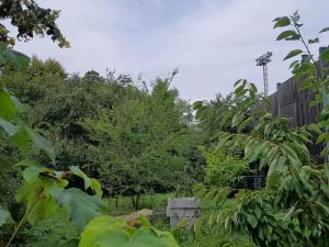 Prodej zahrady, Ostrava, 875 m2