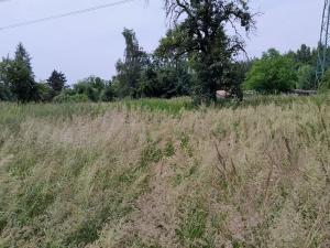 Prodej rodinného domu, Ostrava, U Lesíka, 97 m2