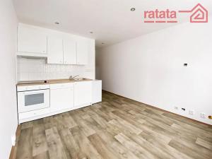 Pronájem bytu 1+kk, Kadaň, 20 m2