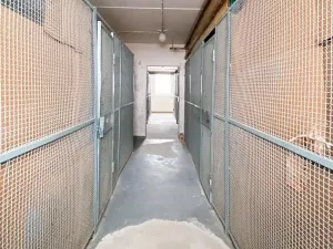 Pronájem bytu 1+kk, Kadaň, 20 m2
