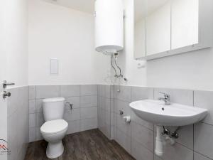 Pronájem bytu 1+kk, Ostrava, Palackého, 30 m2