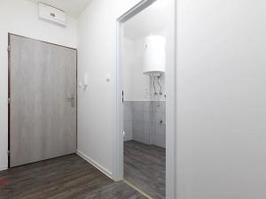 Pronájem bytu 1+kk, Ostrava, Palackého, 30 m2