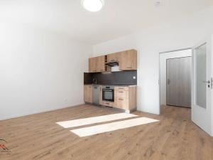 Pronájem bytu 1+kk, Ostrava, Palackého, 25 m2