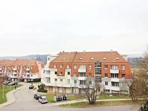Pronájem bytu 1+1, Brno, Renčova, 49 m2