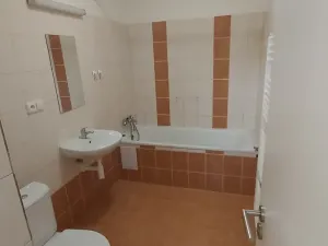 Pronájem bytu 3+kk, Brno, Stará, 78 m2