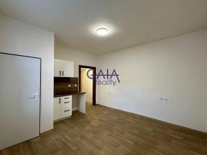Prodej bytu 1+kk, Strážnice, Vinohradská, 20 m2