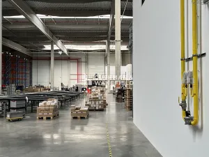 Prodej skladu, Nová Paka, 9000 m2