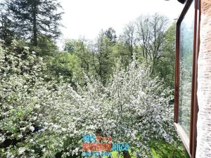 Prodej chalupy, Stříbrná Skalice, 75 m2