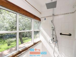 Prodej chalupy, Stříbrná Skalice, 75 m2