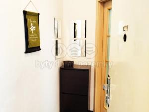 Prodej bytu 1+kk, Brno, Leitnerova, 21 m2