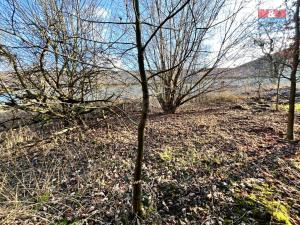 Prodej zahrady, Václavice, 902 m2