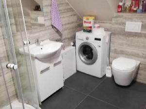 Pronájem bytu 3+kk, Sklené, 70 m2