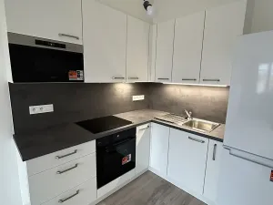 Pronájem bytu 1+kk, Písek, Pražská, 38 m2