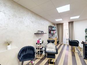 Prodej obchodního prostoru, Třebíč - Vnitřní Město, Hasskova, 294 m2