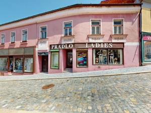 Prodej obchodního prostoru, Třebíč - Vnitřní Město, Hasskova, 294 m2