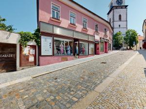 Prodej obchodního prostoru, Třebíč - Vnitřní Město, Hasskova, 294 m2