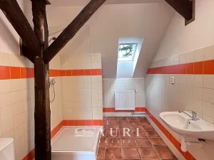 Pronájem bytu 1+kk, Rakovník, Havlíčkova, 58 m2