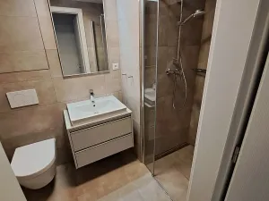Pronájem bytu 2+kk, Brno, Placzkova, 44 m2
