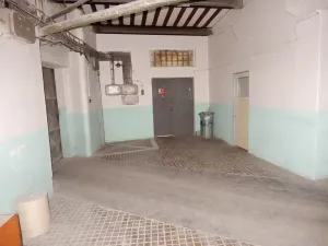 Prodej skladu, Červená Řečice, 12111 m2