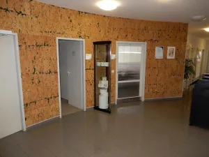 Prodej skladu, Červená Řečice, 12111 m2
