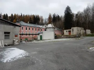 Prodej výrobních prostor, Červená Řečice, 12111 m2
