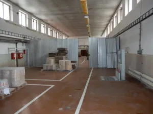 Prodej výrobních prostor, Červená Řečice, 12111 m2