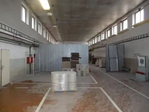 Prodej výrobních prostor, Červená Řečice, 12111 m2