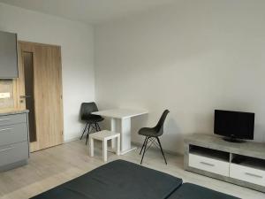 Pronájem bytu 1+kk, Plzeň, Na Chmelnicích, 38 m2