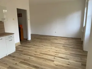Pronájem bytu 1+kk, Olomouc, Norská, 29 m2