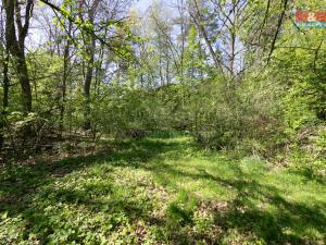 Prodej pozemku pro bydlení, Horšovský Týn - Plzeňské Předměstí, 1261 m2