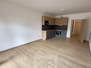 Pronájem bytu 1+kk, Slaný, Lázeňská, 35 m2