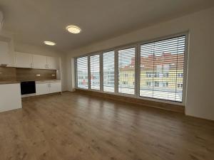 Pronájem bytu 1+kk, Brno, Křenová, 61 m2