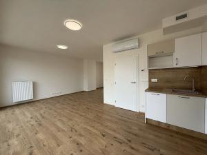 Pronájem bytu 1+kk, Brno, Křenová, 61 m2