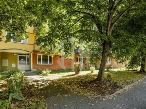 Pronájem bytu 2+1, České Budějovice - České Budějovice 3, Pekárenská, 70 m2