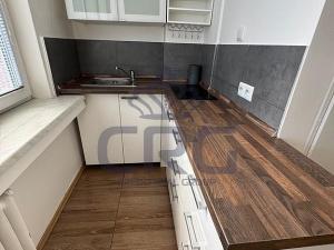 Pronájem bytu 1+1, Brno - Staré Brno, Nové sady, 46 m2