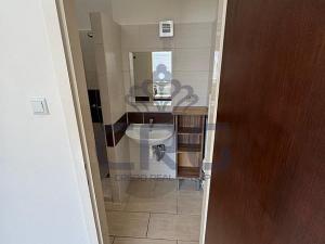 Pronájem bytu 1+1, Brno - Staré Brno, Nové sady, 46 m2