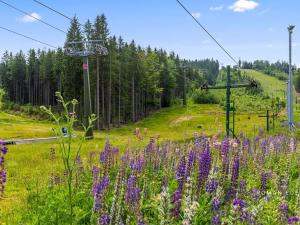Prodej chalupy, Josefův Důl, 165 m2