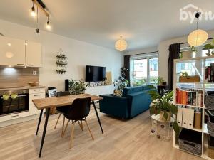 Pronájem bytu 1+kk, Brno - Staré Brno, Hybešova, 45 m2