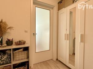 Pronájem bytu 1+kk, Brno - Staré Brno, Hybešova, 45 m2