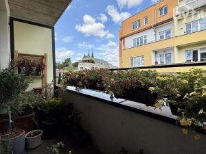 Pronájem bytu 1+kk, Brno - Staré Brno, Hybešova, 45 m2