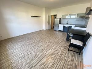 Pronájem bytu 1+kk, Holubice, Platanová, 48 m2