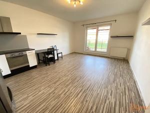 Pronájem bytu 1+kk, Holubice, Platanová, 48 m2