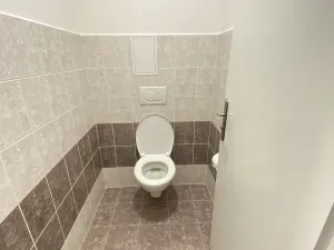 Pronájem bytu 1+kk, Holubice, Platanová, 48 m2