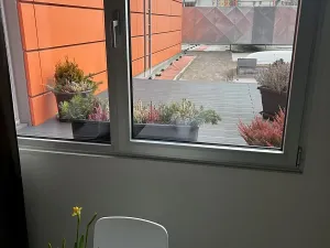 Pronájem kanceláře, České Budějovice, České Vrbné, 23 m2