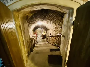 Prodej vinného sklepa, Mikulov, Na Jámě, 560 m2