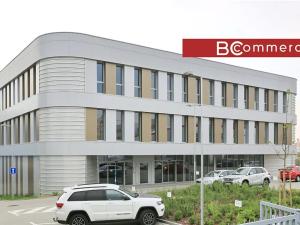 Pronájem obchodního prostoru, Brno, Polní, 460 m2